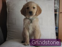 Flamme of grindstone valley