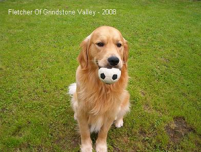 Fletcher of grindstone valley