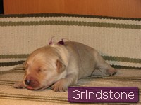 Floyd of grindstone valley