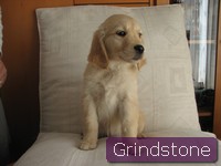 Fauvette of grindstone valley
